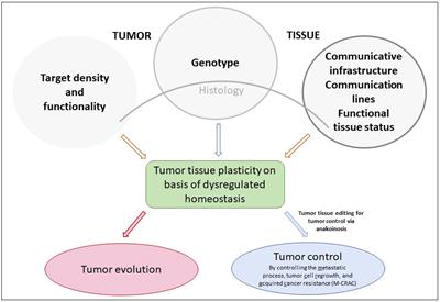 Editorial: Anakoinosis for promoting tumor tissue editing: Novel therapeutic opportunities for establishing clinically relevant tumor control by targeting tumor plasticity